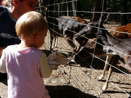 Kattints ide a teljes kép megtekintéséhez