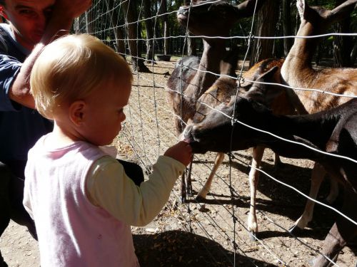 Kattints ide a teljes kép megtekintéséhez