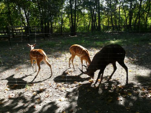 Kattints ide a teljes kép megtekintéséhez