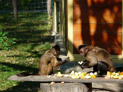 Kattints ide a teljes kép megtekintéséhez