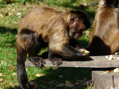 Kattints ide a teljes kép megtekintéséhez