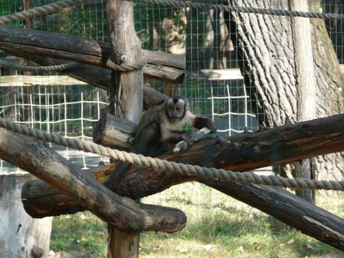 Kattints ide a teljes kép megtekintéséhez