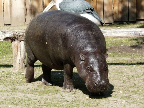 Kattints ide a teljes kép megtekintéséhez