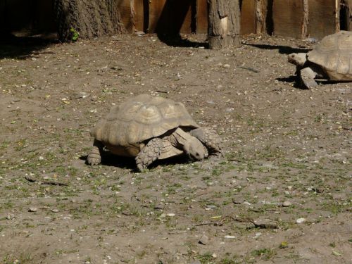 Kattints ide a teljes kép megtekintéséhez