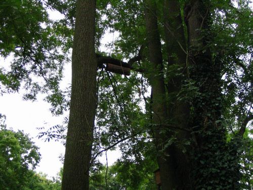 Kattints ide a teljes kép megtekintéséhez