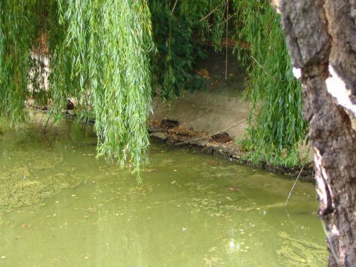 Kattints ide a teljes kép megtekintéséhez