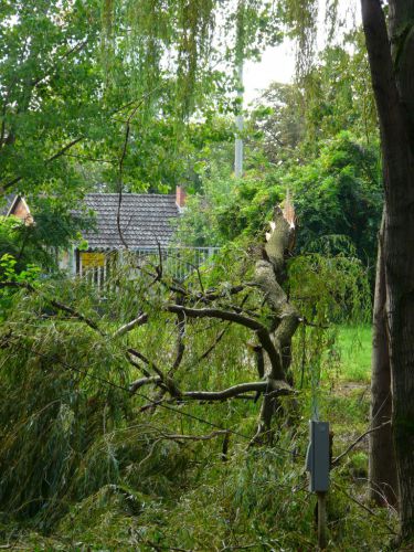 Kattints ide a teljes kép megtekintéséhez