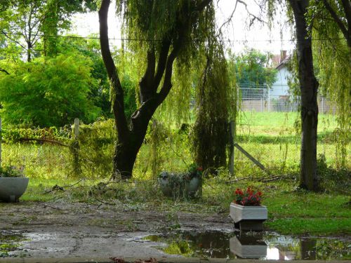 Kattints ide a teljes kép megtekintéséhez