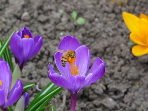 Kattints ide a teljes kép megtekintéséhez