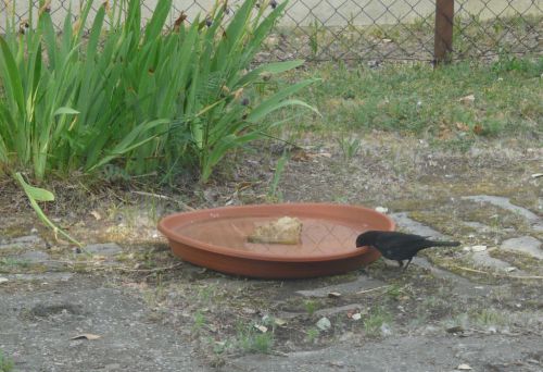 Kattints ide a teljes kép megtekintéséhez